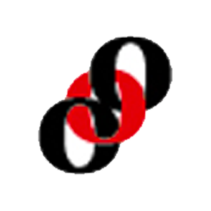 Birikim Varlık Yönetim A.Ş logo